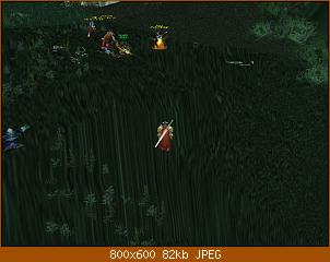 wowscrnshot_071408_105554.jpg