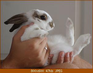 dsc08279.jpg
