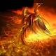 Phnixflamme