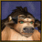 Avatar von Danareia