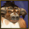 Avatar von Narami