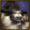 Avatar von Ronjin