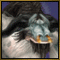 Avatar von Erisil