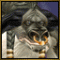 Avatar von cowguummi