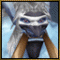 Avatar von Noway
