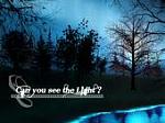 Hier auch ein sehr schnes Bild von mir. Ich hab den einen Baum und die  
Schrift gemacht ;) also den einen Baum der hinter dem "Light" steht ^^...