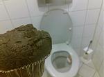 Muffin^^