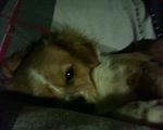 mein kleines muschen :D Sally ihr name