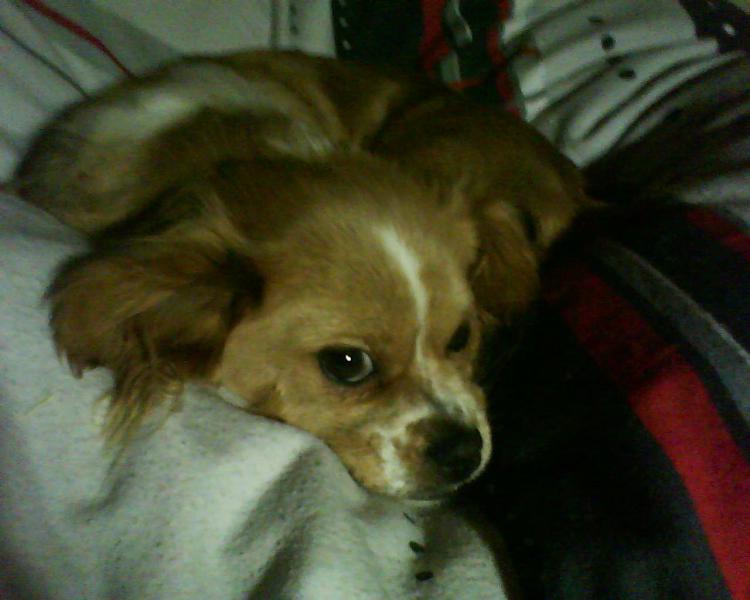 und immer schn in die kamera XD