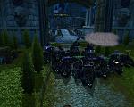 Alliraid 27.5.09 erfolgreich
