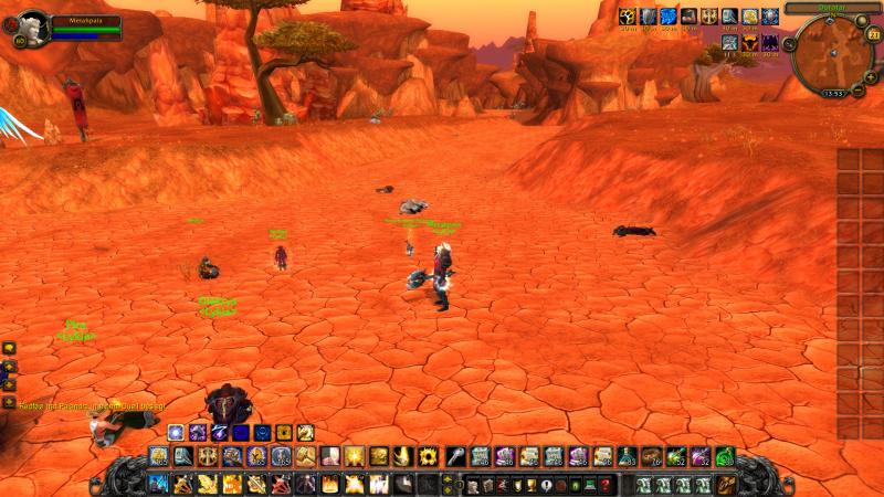 WoWScrnShot 032110 135240