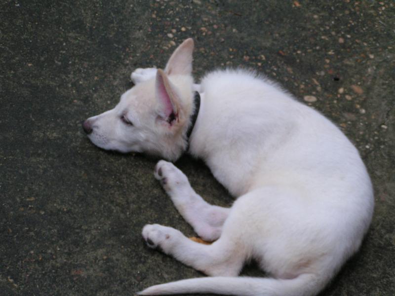 PICT0028