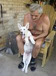 Vater & Hund