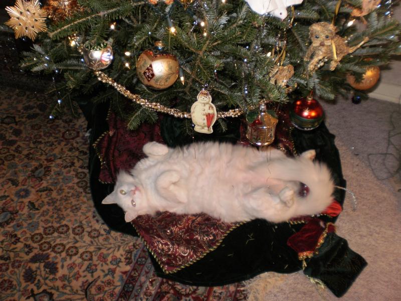 Teufl unterm Weihnachtsbaum *g*