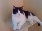 Emely