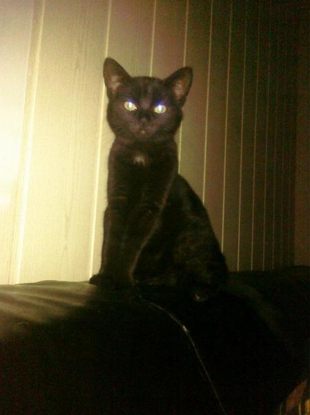 die se paulina :)
<3