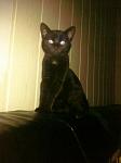 die se paulina :) 
<3