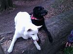 chicco&shaddow 
:*