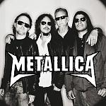 Metallica halt
