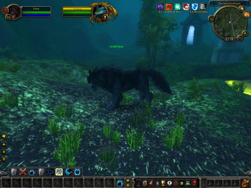 Wolf