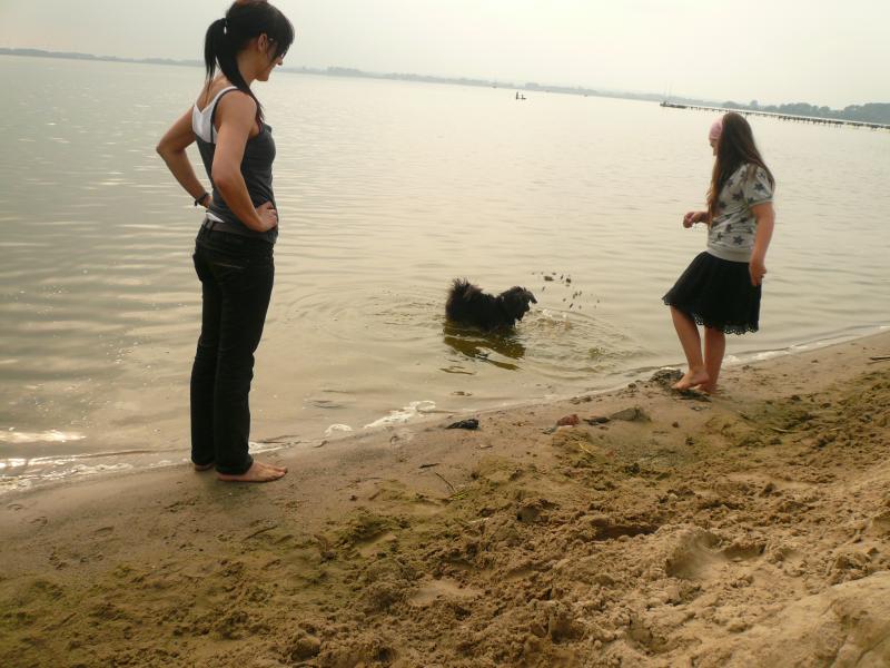 am Dmmersee