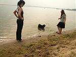 am Dmmersee