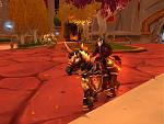berall Paladine