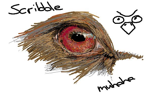 Joa, heute bei einem Telefonat in Paint entstanden. Vogelauge, hab ein amseltrauma, weil meine liebe Katze mir eine gebracht hat die dann frhlich im Haus rumflatterte.