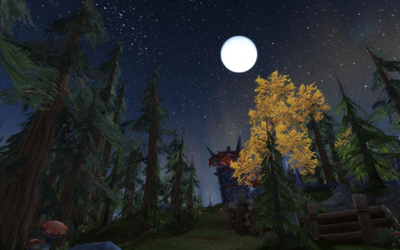 Grizzlyhgel @ night