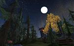 Grizzlyhgel @ night
