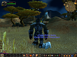 Mein erstes Haustier! Danke Blizzard und Alles Gute zum GB ^^