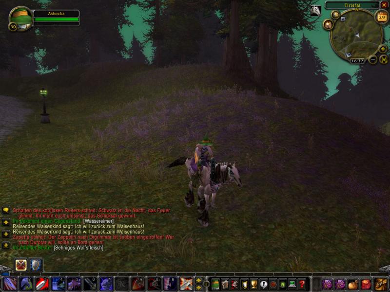 Mein neues Reittier 2 ^^