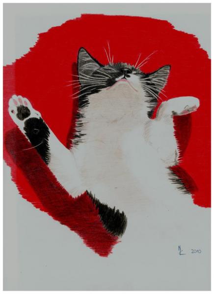 meine katze/ is noch nich fertig kommt aber noch :D 30x30cm mit buntstift