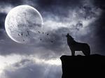 Wolf (Rumspielen mit Brushes)