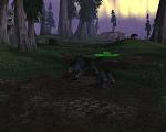 My WoW Life <,<"
