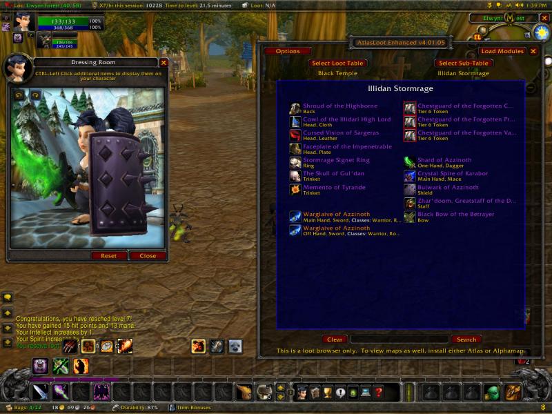 WoWScrnShot 041205 134925