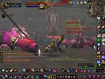 Mehr von Ahn'Qiraj 40 der erste Whipe aber warum liegen die leichen der Adds da?
