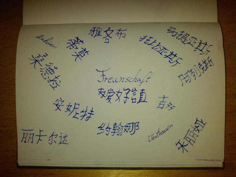 Alle meine Freunde auf Chinesisch !!