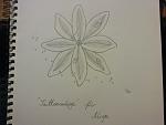 "Lotus" Tattooverschnerung