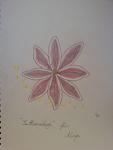 "Lotus"