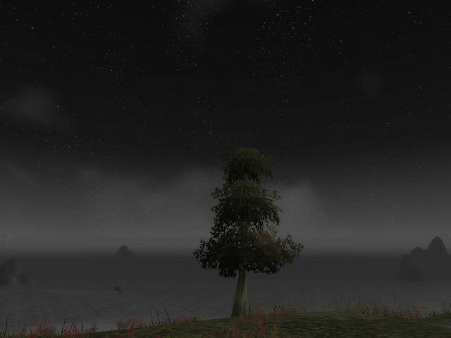 Baum in Dunkelkste