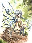 Naturefairie