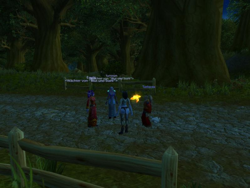 WoWScrnShot 071411 013432