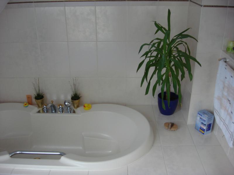 Hier noch mal die tolle Badewanne *freu*