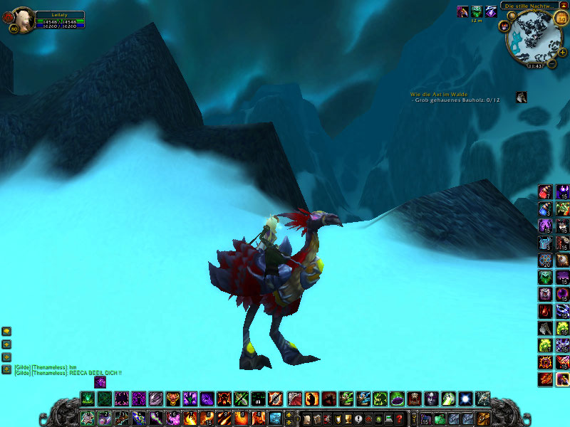 WoWScrnShot 073009 114418