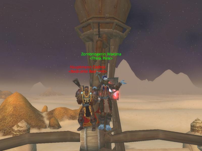 Mein alter Char Warona auf Frostberry (-;