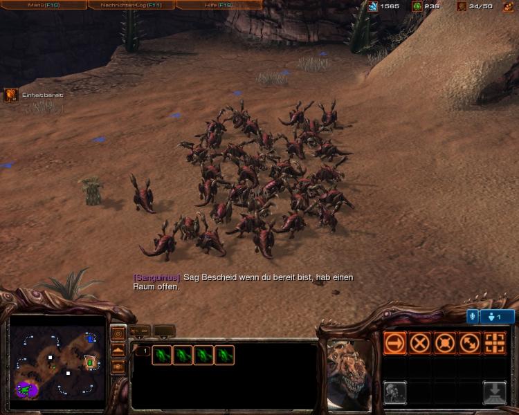 Zerglinge!