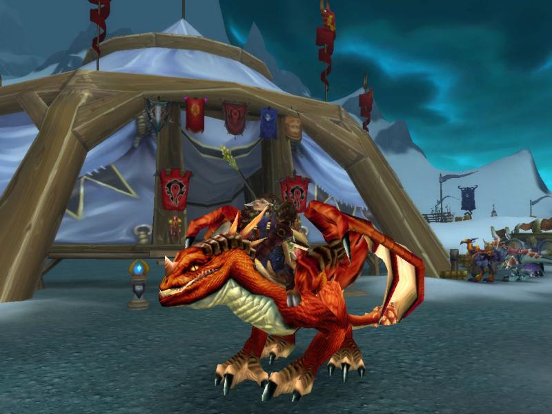 Meine Kriegerin auf ihrem Rotdrachen :)