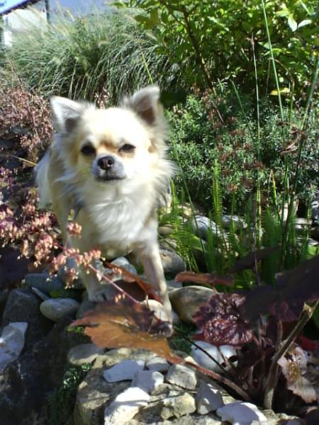 "Ich hab aus dem Teich getrunken! Na und?!"