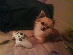 "Mist ihr habt mich beim X-Box spielen erwischt!"